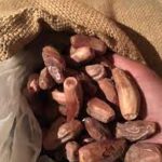 بلح اسواني كبير 1 كيلو